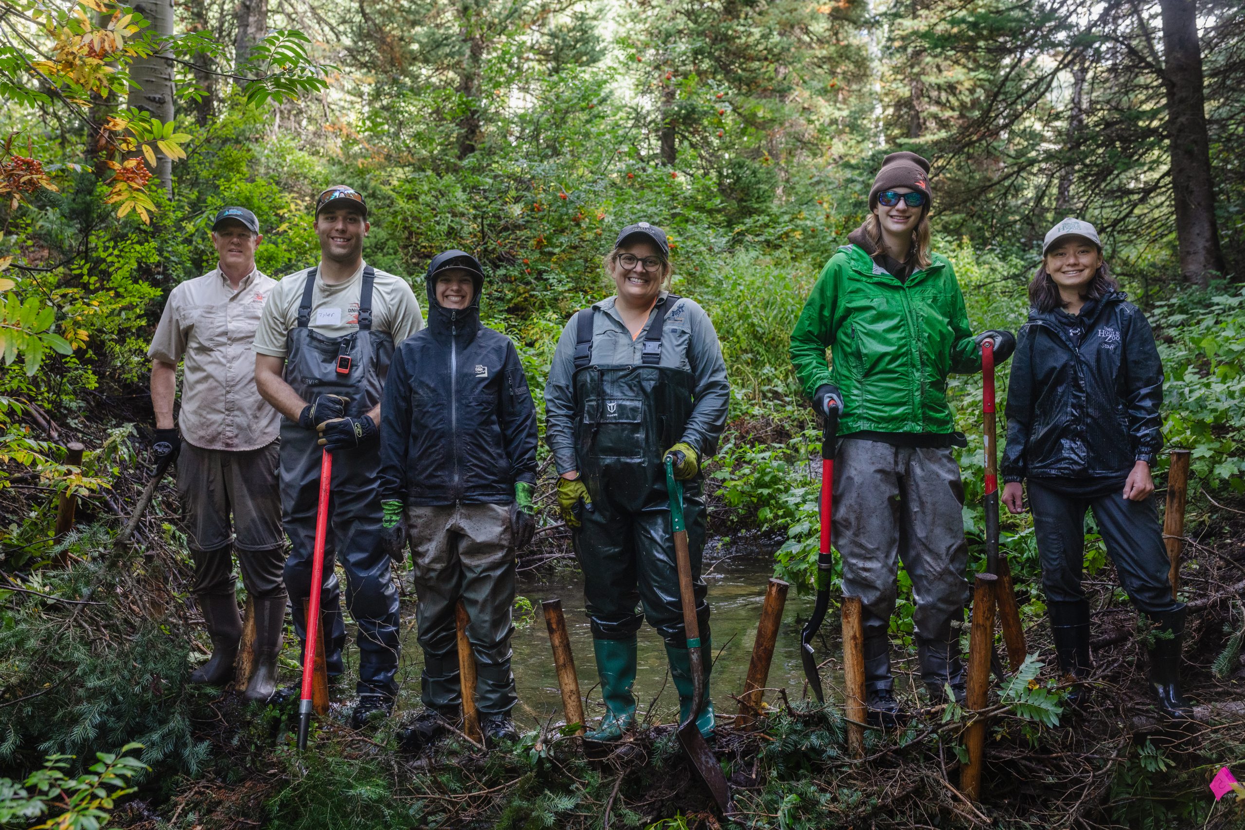 A group of people working together on a project.